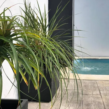 Con Piscina Privada Y Cerca Del Mar, Mire Fotos Y Elija El Suyo, Le Esperamos Chiclana de la Frontera