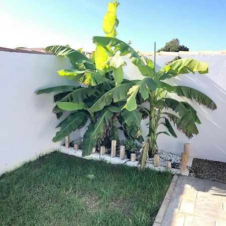 Con Piscina Privada Y Cerca Del Mar, Mire Fotos Y Elija El Suyo, Le Esperamos Nyaraló Chiclana de la Frontera